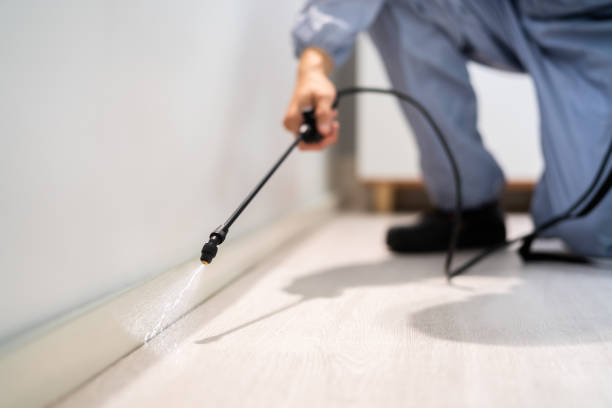 Licensed Mosquito Control service in Harlan, KY - Show Me Pest Control