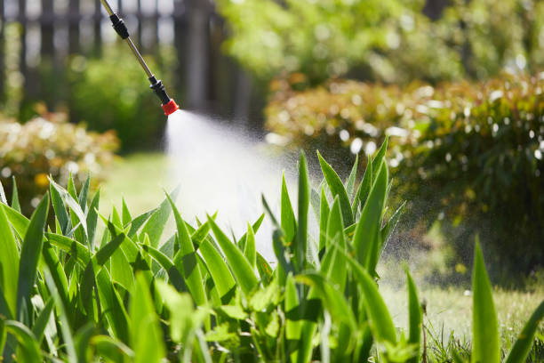 24/7 Emergency Mosquito Control experts in Harlan, KY